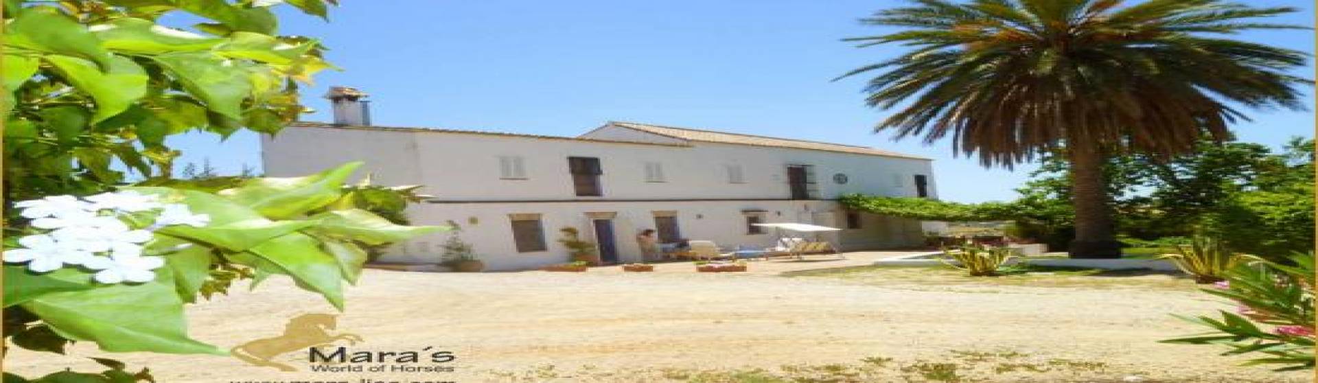 6 Schlafzimmer, Villa, zu verkaufen, 5 Badezimmer, Listing ID 1140, Arcos de la Frontera, Andalusien, Spanien, 11630,