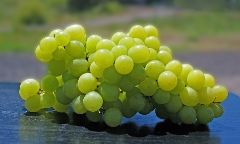 12 Weintrauben zu Silvester in Spanien