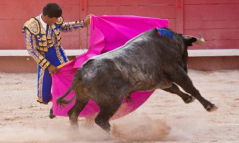 Mallorca vor Stierkampfverbot – Droht der Fiesta in Spanien das Ende?